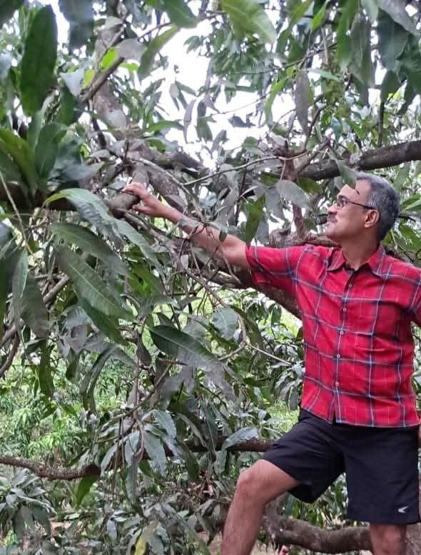 Srushti agrofarm and homestay stay review malvan katta nandos