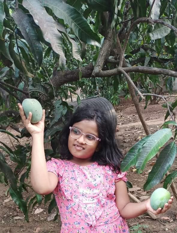 Srushti agrofarm and homestay stay experience