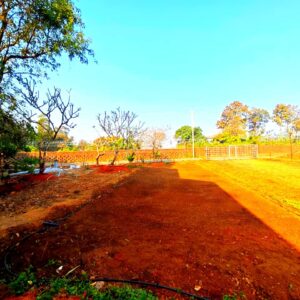 srushti agrofarm and homestay image