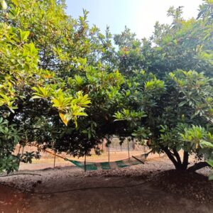 srushti agrohomestay nandos stay