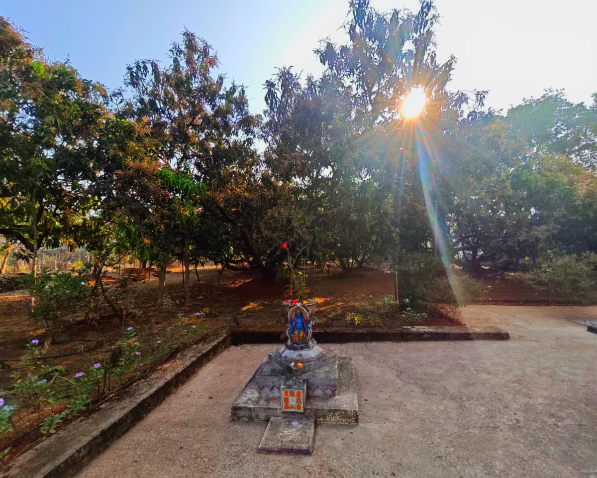 srushti agrohomestay nandos malvan katta