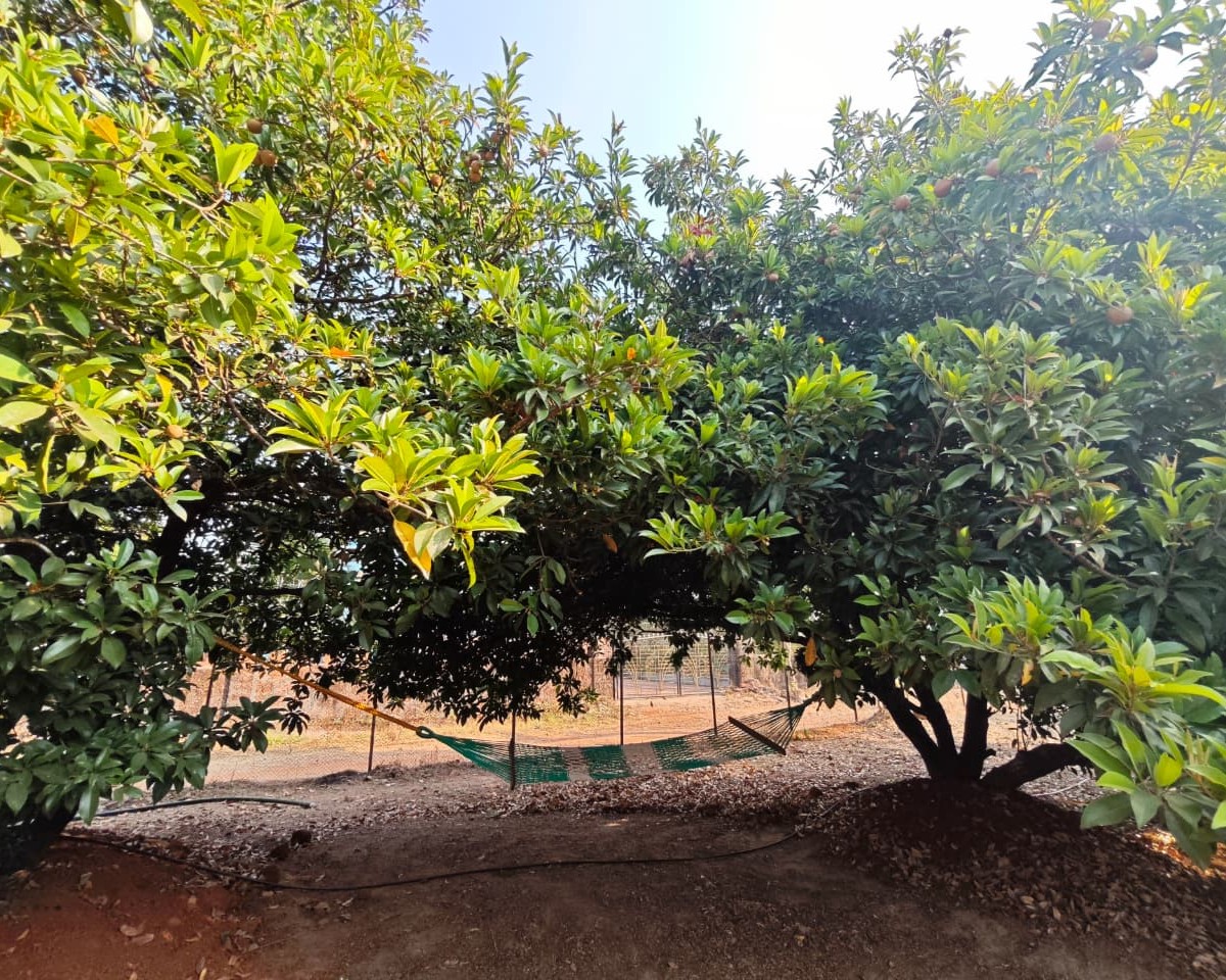 srushti agrohomestay nandos stay