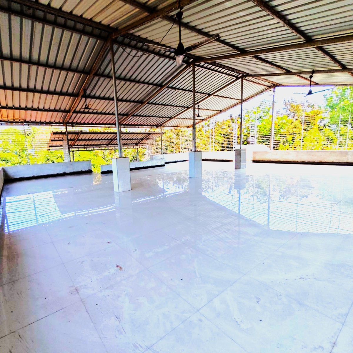 WhatsApp Image 2026-04-10 at 13.33.42